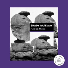 PREMIERE: Purple Mood – Shady Gateway (ft. RiP) [Label Affaire Records]