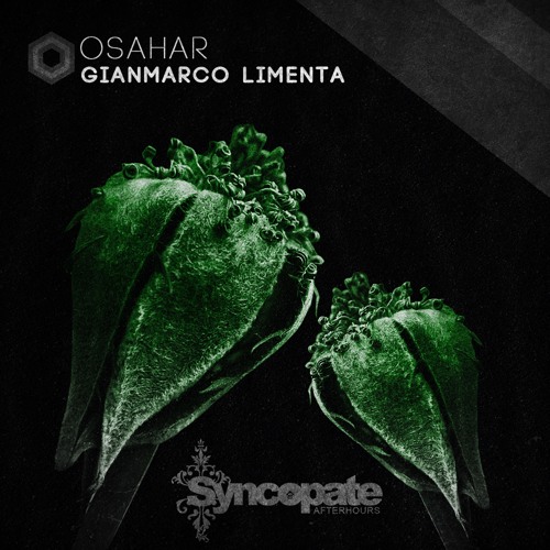 Gianmarco Limenta - Osahar (Original mix)