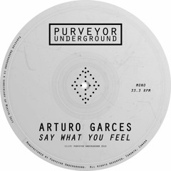 Say What You Feel - Arturo Garces