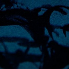 I didnt Want to Frighten You Out of Sleep...(SIDE A excerpt)