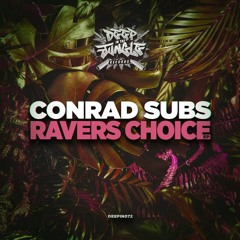 DJ Hybrid & Conrad Subs - Rinse It