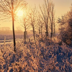 Shabbat Morning - 12/14