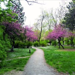 Adult Swim Bump - Secret Space