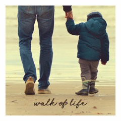 Walk Of Life