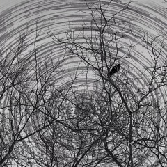 snow | prod. KiLLiAN |