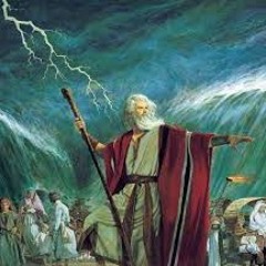 Part Da Water Ft JimmyBoiWitaToy