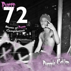 72 Blunts of Purrp: Purrple Edition