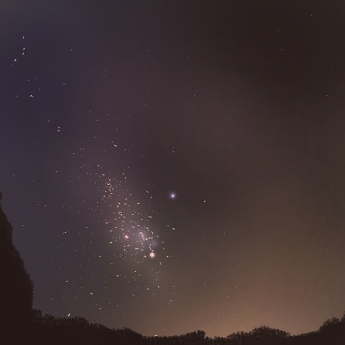 Cosmos