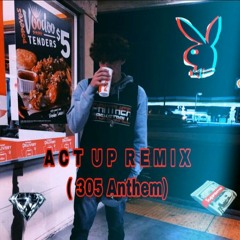 Act Up Remix (305 Anthem)