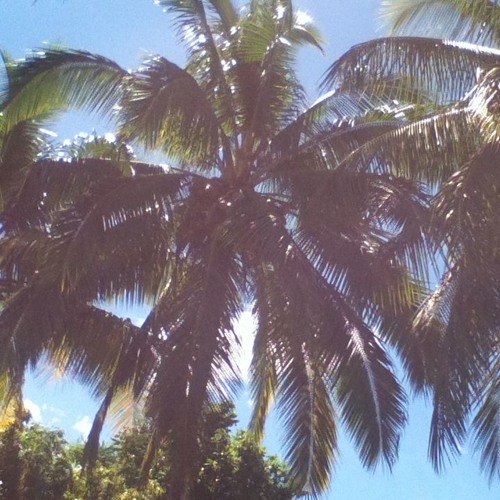 retour (prod. Peppi)