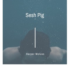 Sesh Pig