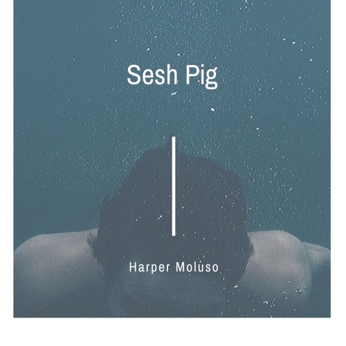 Sesh Pig
