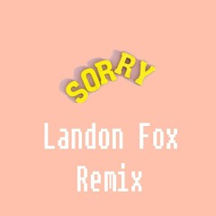 Sorry by Justin Bieber Remix