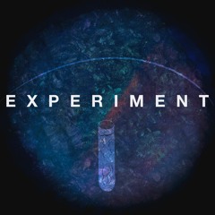 Experiment