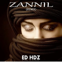 Zannil (Remix)