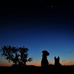 Auzandil - Our Island! Just Stay With Me. I'll Get You There