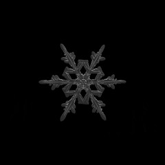 frmn x deadlycold - rockstar