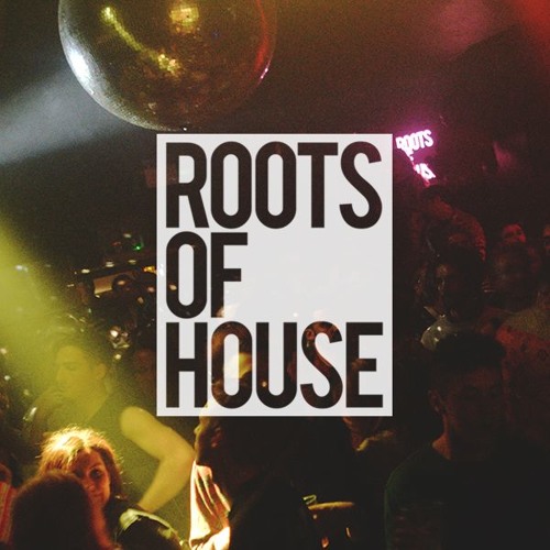 Roots of House Vol. 4 - Mixed by Sean McCabe