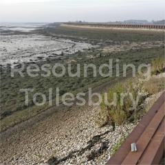 Resounding - Field recordings around the River Blackwater, Essex