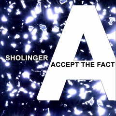SHOLINGER - ACCEPT THE FACT ( REMIX BY HYPERKID )
