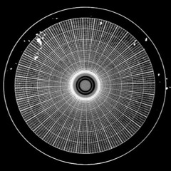 Thickening Light / 2019