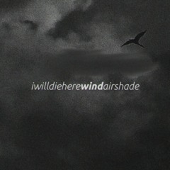 wind w/ airshade