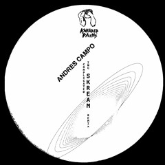 Andres Campo - Ray (KP52) [clip]