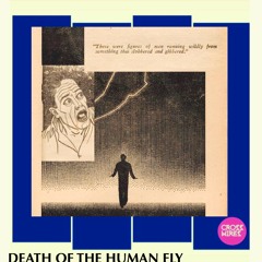 Death Of The Human Fly