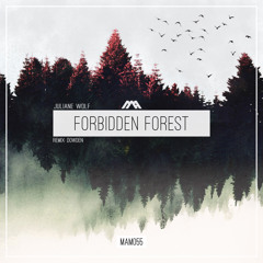 Premiere: Juliane Wolf - Forbidden Forest (Dowden Remix) [Modern Agenda]