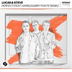 Lucas & Steve - Perfect (Gabry Ponte Remix) [OUT NOW]