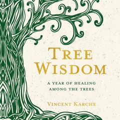 Tree Wisdom: A Year of Healing Among the Trees by Vincent Karche