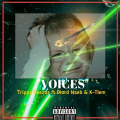 Voices ft Diord Naeb & K-Tlem (Prod. K-Tlem)