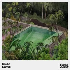 Coubo - Leaves