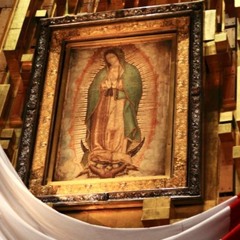 Curiosidade Sobre Nossa Senhora De Guadalupe - Flash Notícia - 12 de Dezembro de 2019