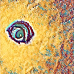 Opus 27