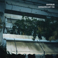 Evitceles - Gray Instinct