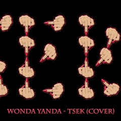 Tsek cover