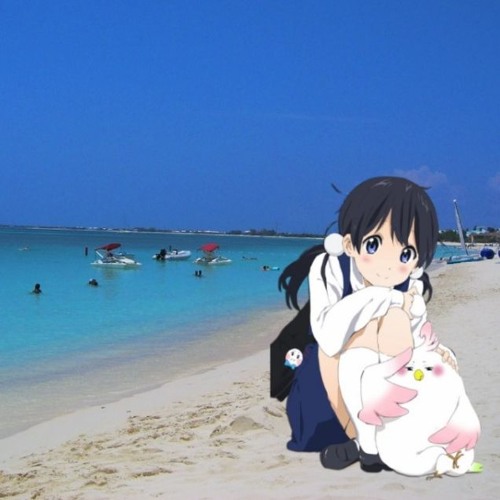 Neguse In Cayman Islands