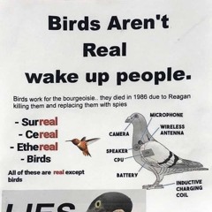 Deep Down in the Dank