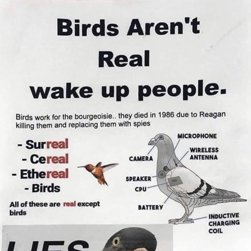 Deep Down in the Dank