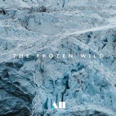 The Frozen Wild | Music from the sounds of Antarctica