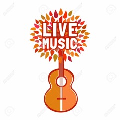 Blues rock alternative indie