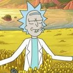 That Time Rick And Morty Perfectly Argued For And Against Shame