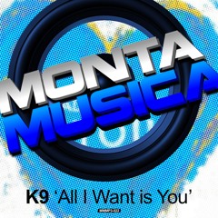 K9 - All I Want Is You (Quasimodo Remix)