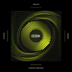 Pablo Say - Attention  (Original Mix)