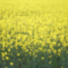 Я Встретил Вас (I Met You / Seninle Tanıştığımda) Russian Romance / Froyen & Di Nitto