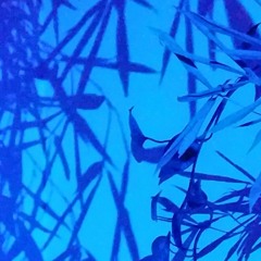 Rat Kiss Feat. Bella