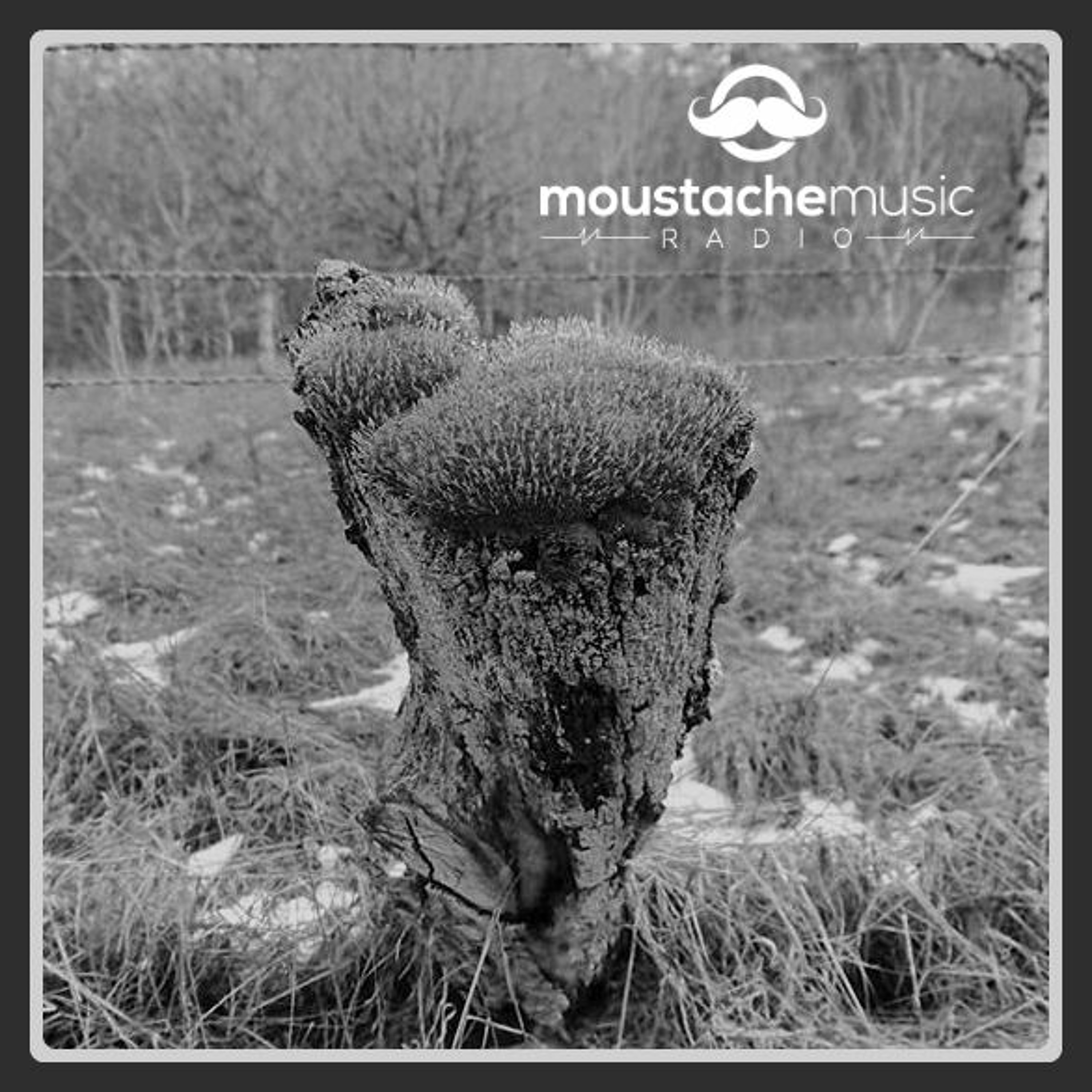 MoustacheMusic