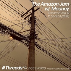 The microminimal takeover: The Amazon Jam (Special Episode) w/ Meaney (Threads*RONCESVALLES)