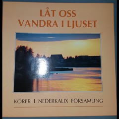 Låt oss vandra i ljuset - körer i Nederkalix församling 1990